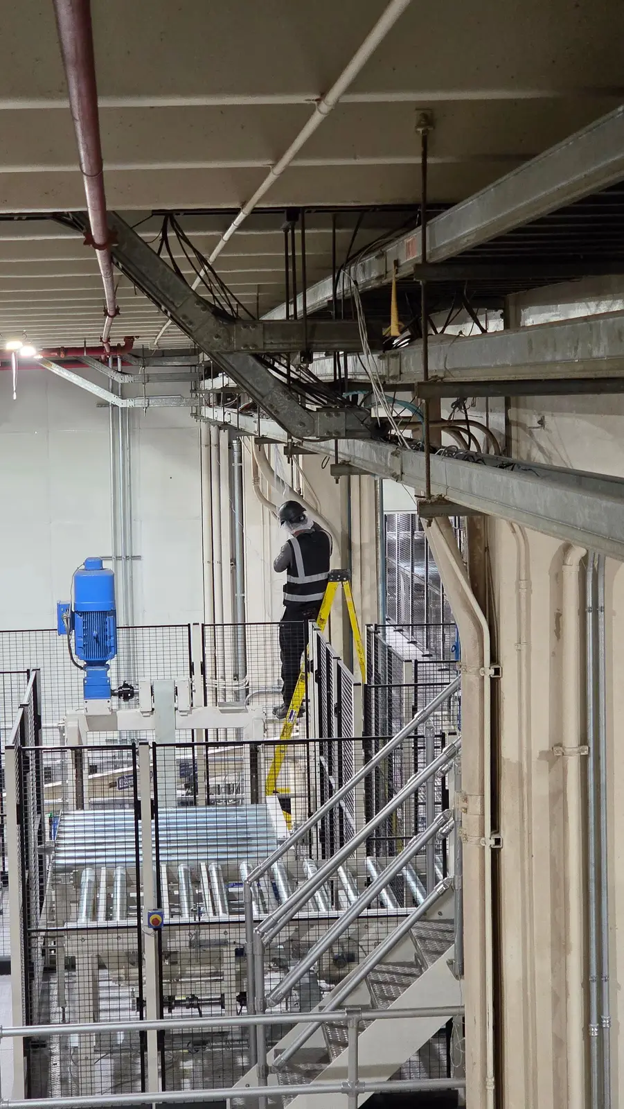 Technician in a hard hat and safety vest on a ladder beneath cable tray and conduit